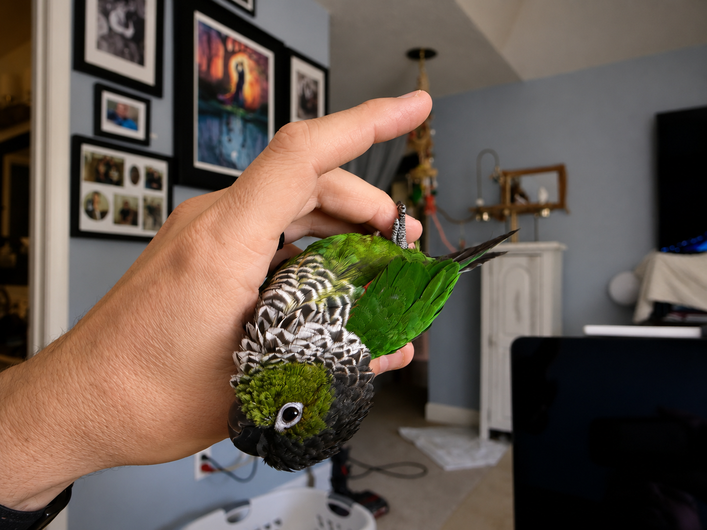 Ricky